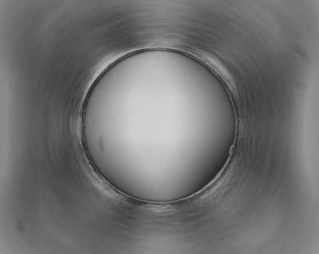 X0000111511340200908041214