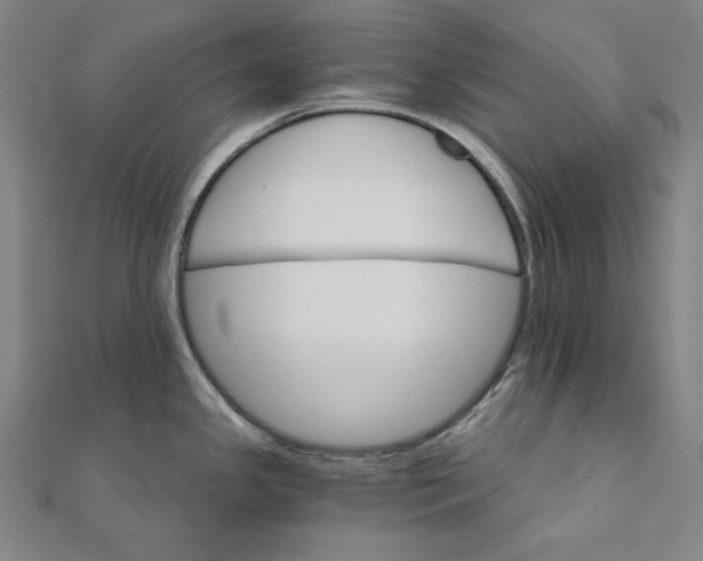 X0000111511341200908041214