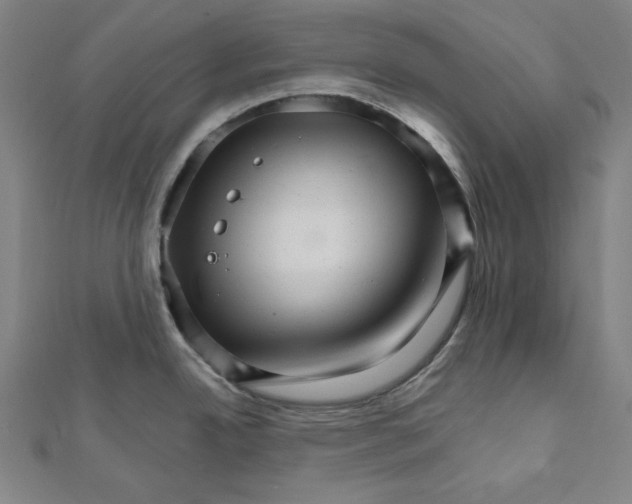 X0000111511342200908041214