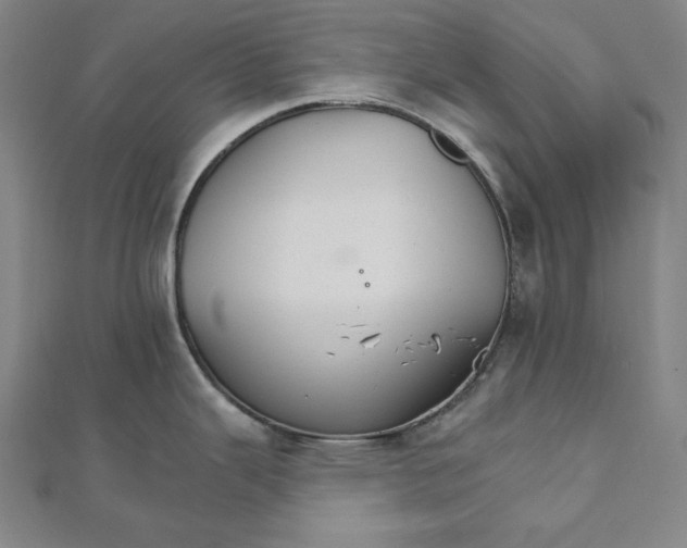 X0000111511343200908041214