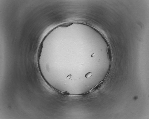 X0000111511344200908041214