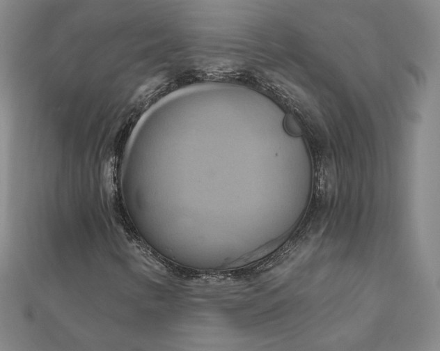 X0000111511346200908041214