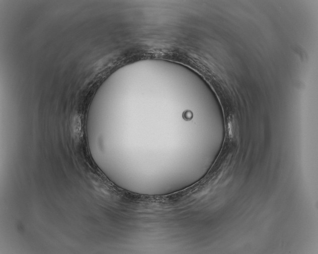 X0000111511347200908041214