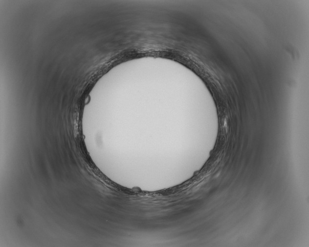X0000111511348200908041214