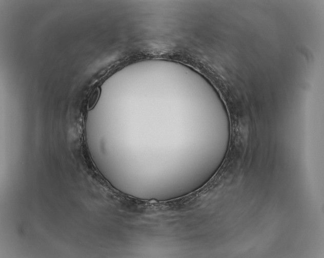 X0000111511349200908041214