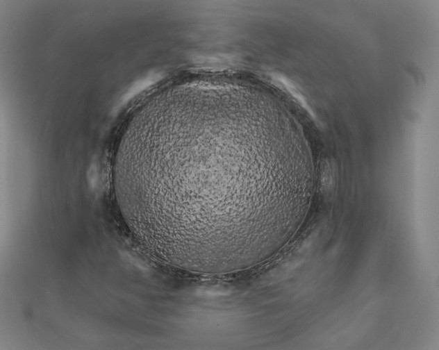 X0000111511350200908041214