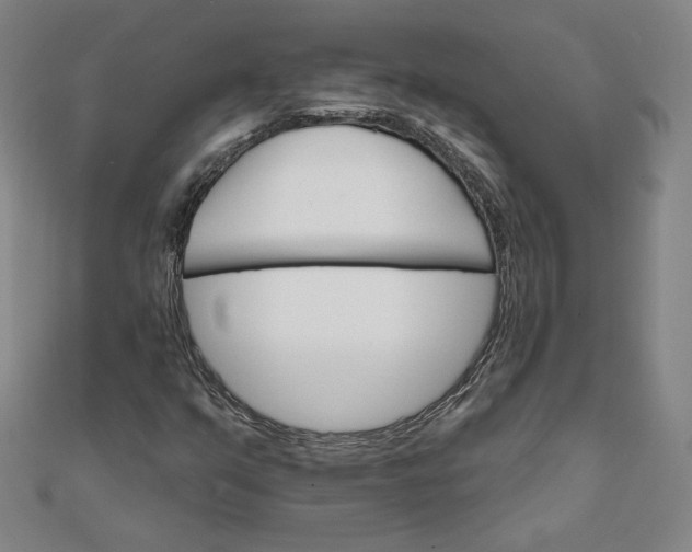 X0000111511351200908041214
