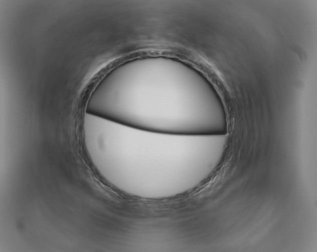 X0000111511352200908041214