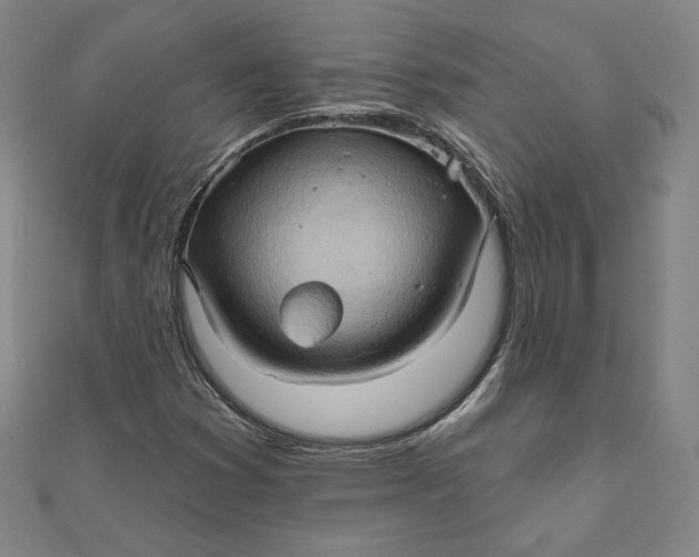 X0000111511353200908041214