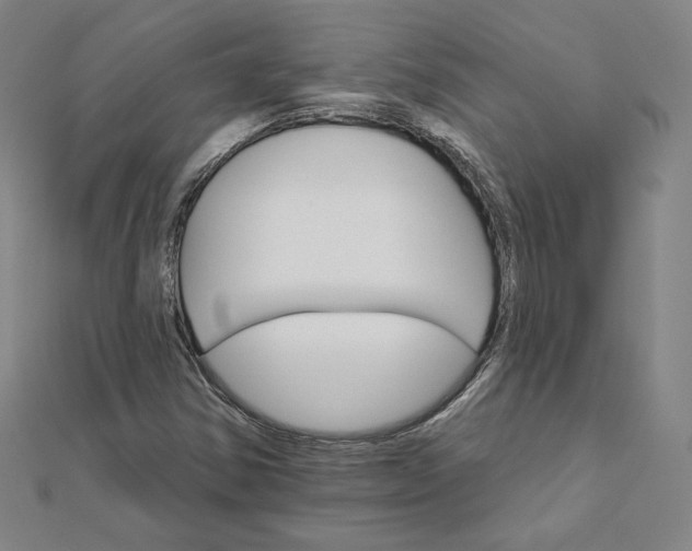 X0000111511354200908041214