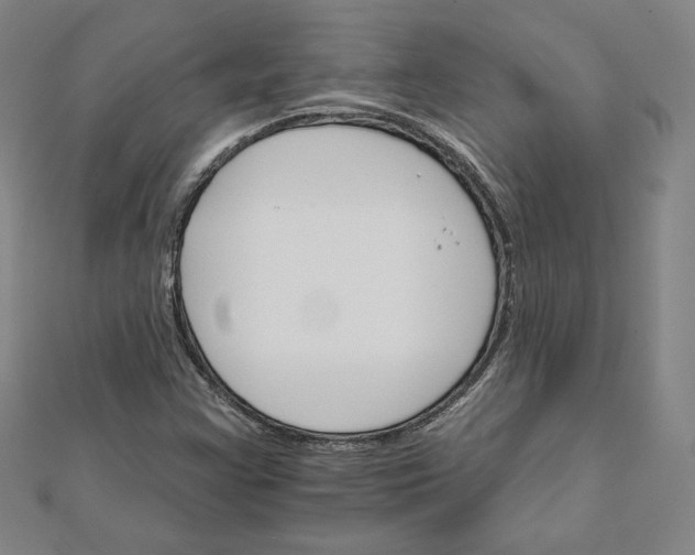 X0000111511355200908041214