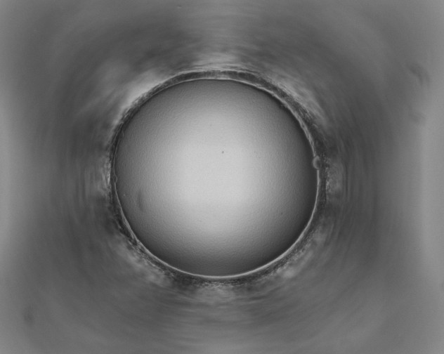 X0000111511358200908041214