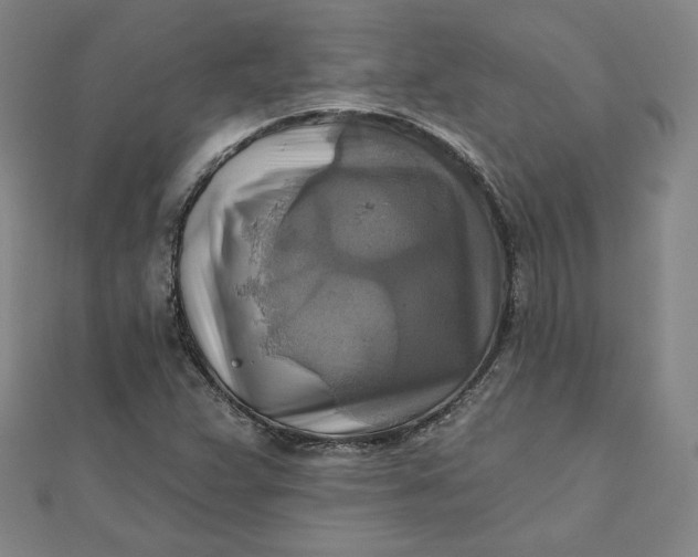 X0000111511359200908041214