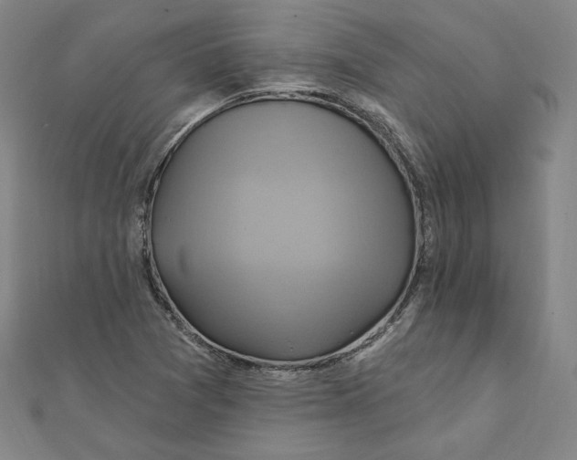 X0000111511361200908041213