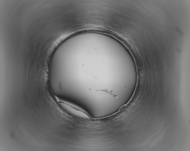 X0000111511363200908041213