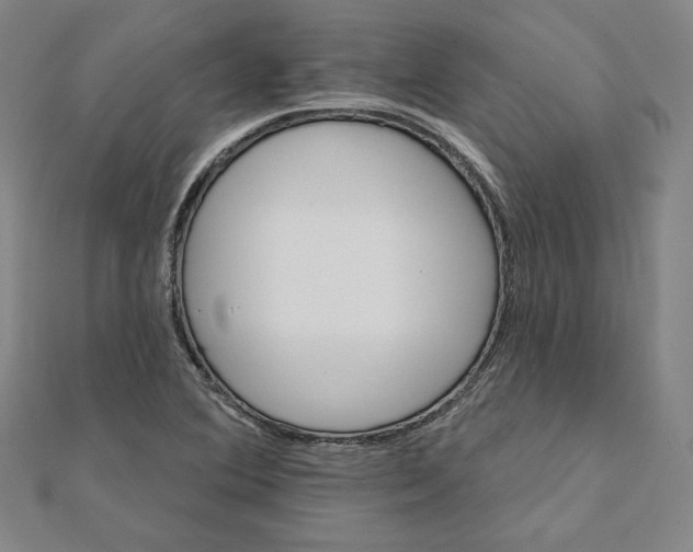 X0000111511364200908041213