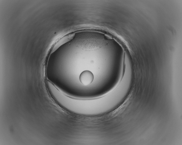 X0000111511365200908041213