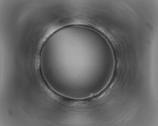X0000111511367200908041213