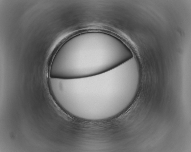 X0000111511368200908041213