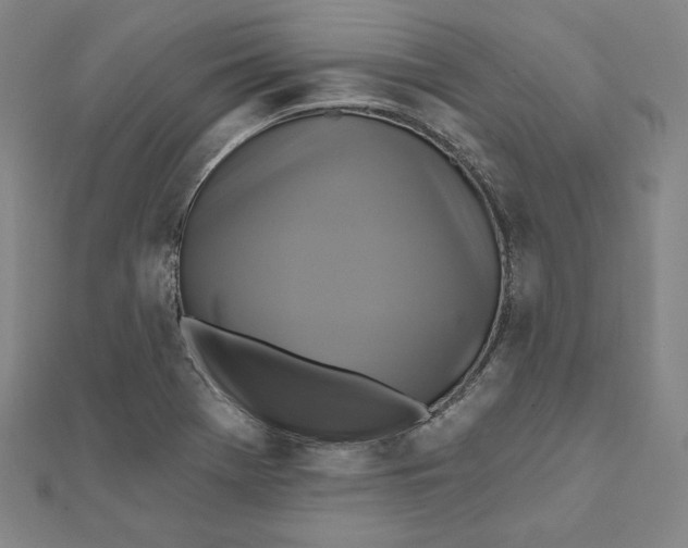 X0000111511369200908041213