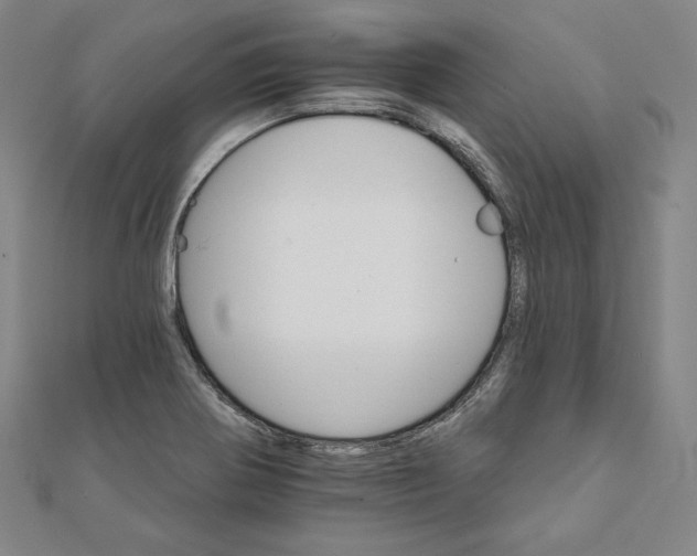 X0000111511370200908041213
