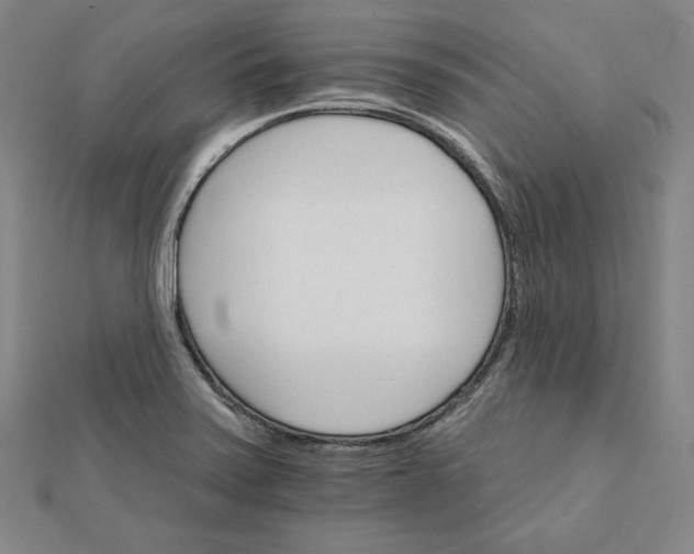 X0000111511371200908041213