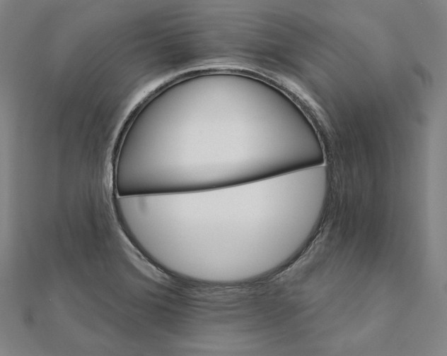 X0000111511372200908041213