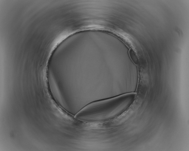 X0000111511373200908041213
