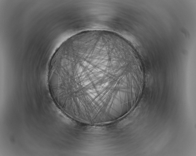X0000111511374200908041213
