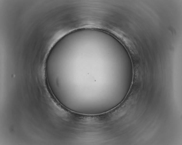 X0000111511375200908041213