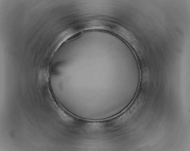 X0000111511377200908041213
