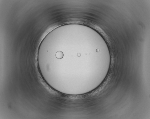 X0000111511378200908041213