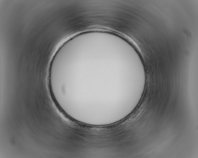 X0000111511379200908041213