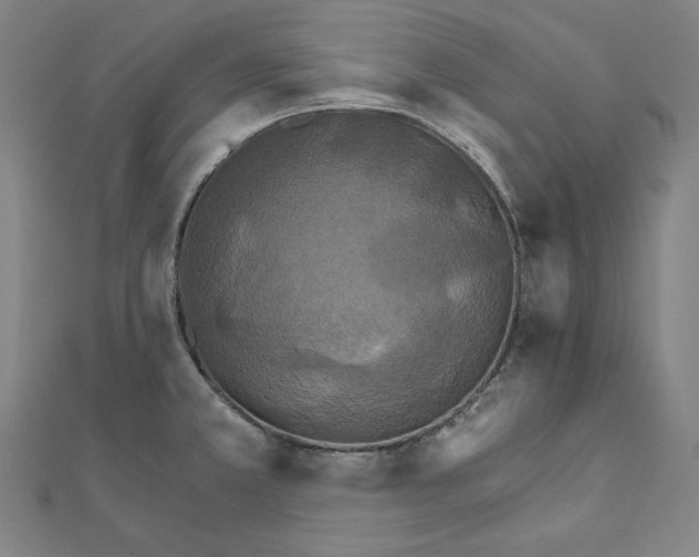 X0000111511381200908041213