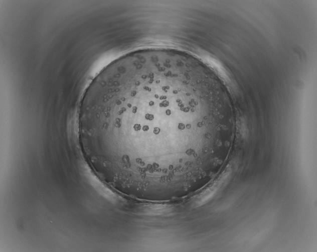 X0000111511382200908041213