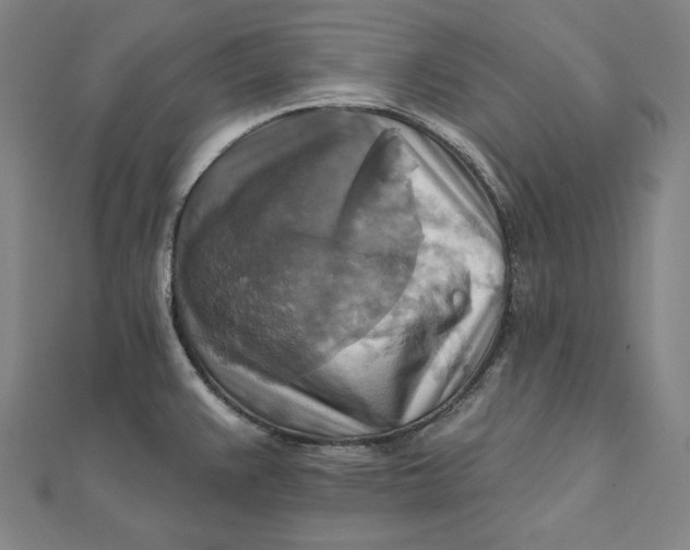 X0000111511383200908041213