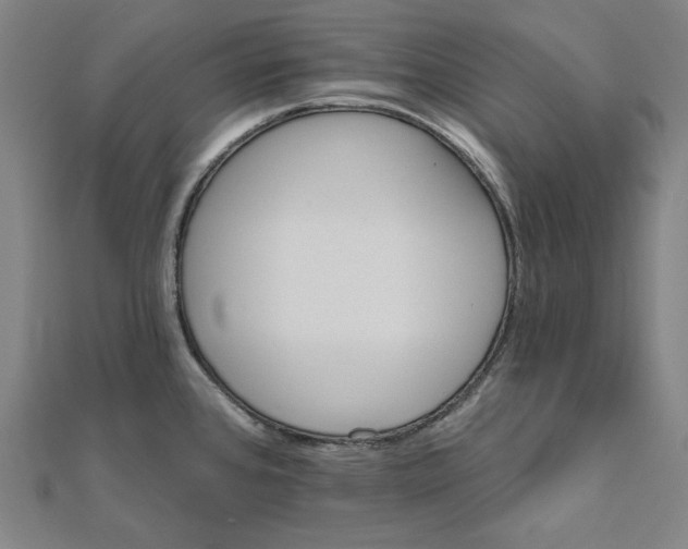 X0000111511384200908041213