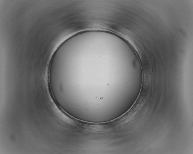 X0000111511387200908041213