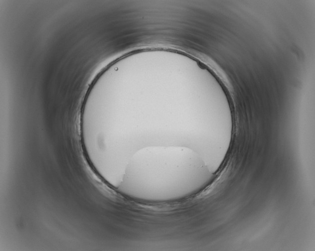 X0000111511388200908041213