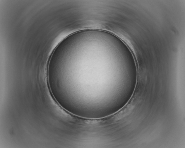 X0000111511389200908041213