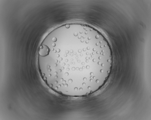 X0000111511390200908041213