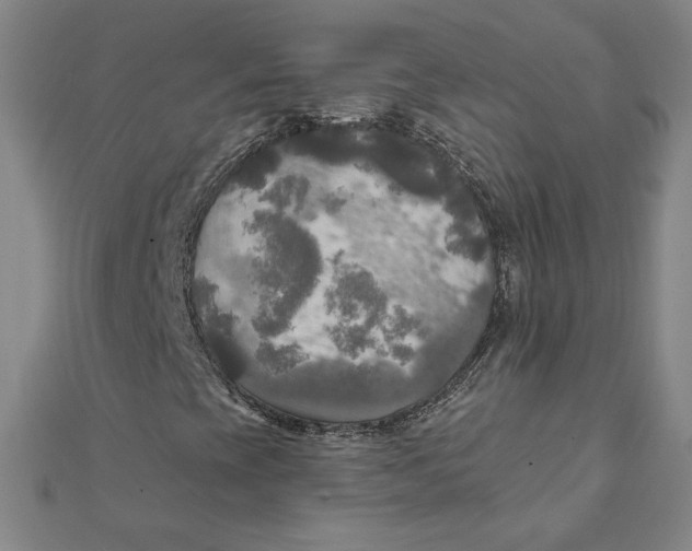 X0000111511393200908041212