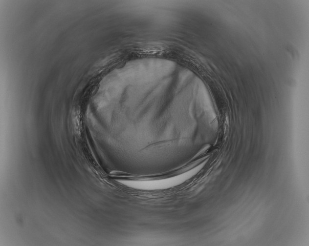 X0000111511394200908041212