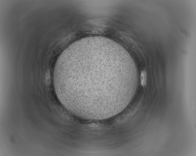 X0000111511395200908041212