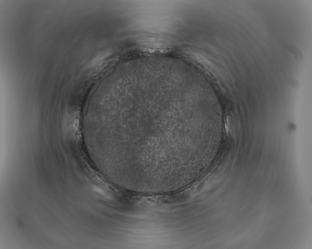 X0000111511396200908041212