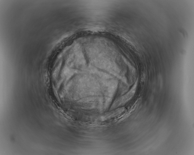 X0000111511398200908041212