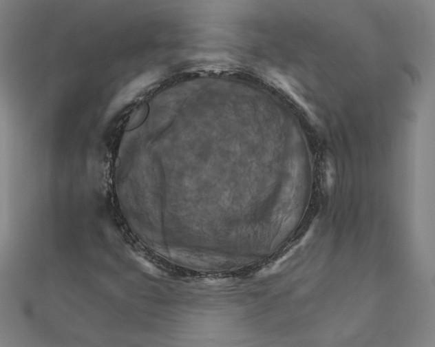 X0000111511399200908041212