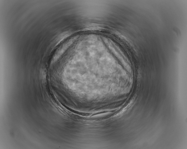 X0000111511401200908041212