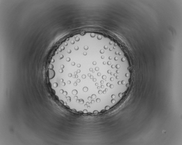 X0000111511402200908041212