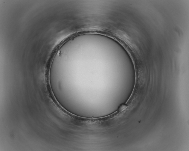 X0000111511404200908041212